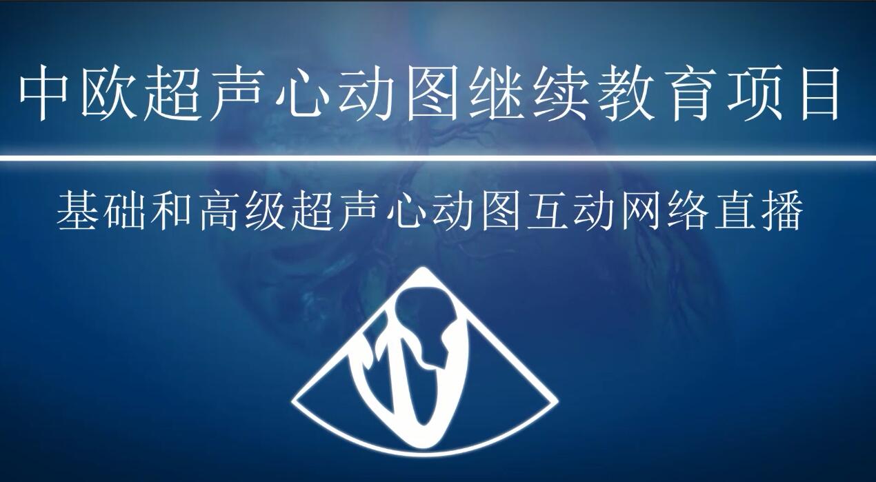 中欧超声心动图继续教育-李氏医学探索